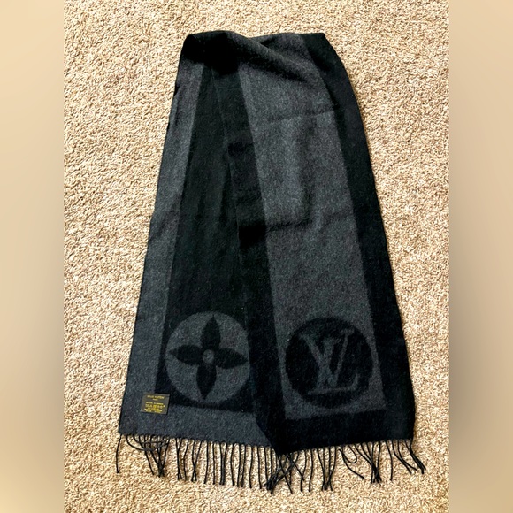 Louis Vuitton Accessories - Louis Vuitton Winter Scarf